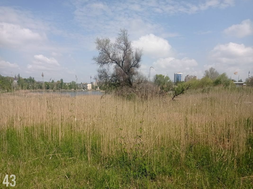 Участок на продажу в Симферополе, улица Генерала Родионова фото №4